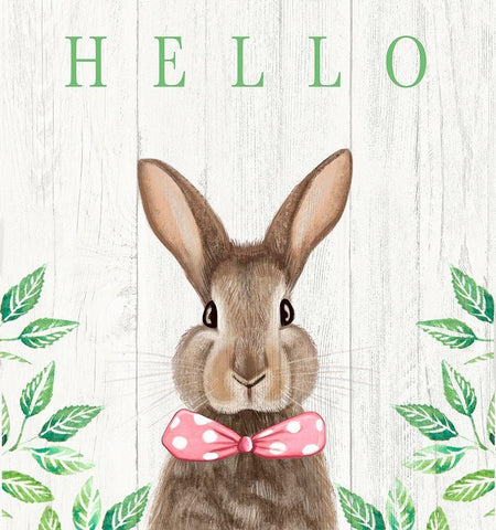 Hello Bunny White Modern Wood Framed Art Print with Double Matting by Tyndall, Elizabeth