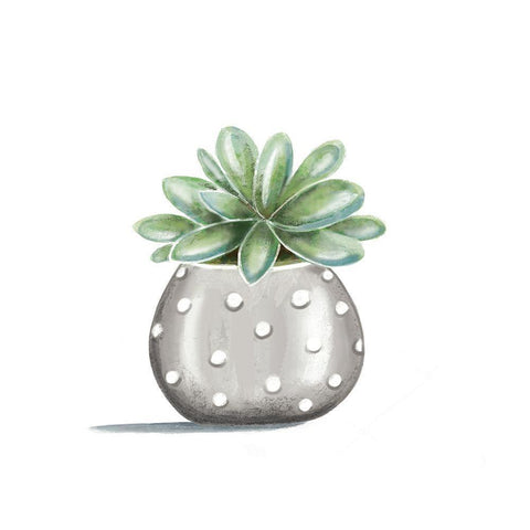 Polka Dot Succulent White Modern Wood Framed Art Print with Double Matting by Tyndall, Elizabeth