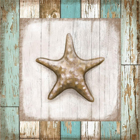 Starfish on Beach Black Ornate Wood Framed Art Print with Double Matting by Tyndall, Elizabeth