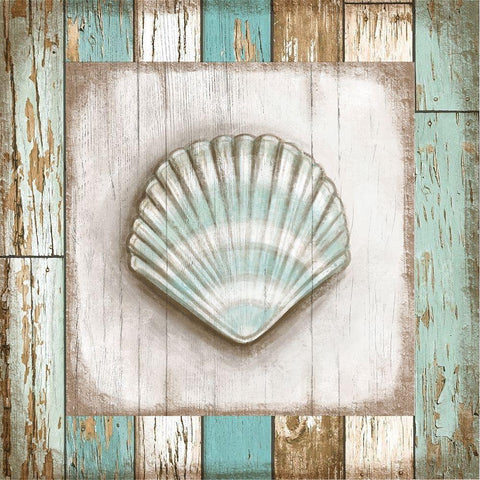 Shell White Modern Wood Framed Art Print by Tyndall, Elizabeth