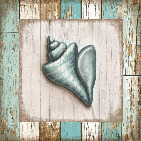 Turquoise Seashell Black Modern Wood Framed Art Print with Double Matting by Tyndall, Elizabeth