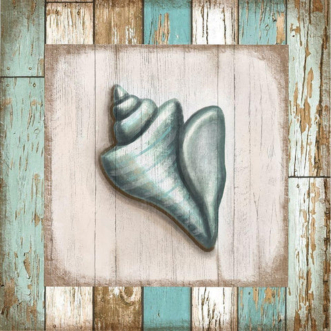 Turquoise Seashell Black Modern Wood Framed Art Print by Tyndall, Elizabeth