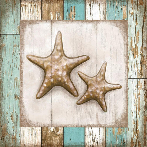 Two Starfish White Modern Wood Framed Art Print with Double Matting by Tyndall, Elizabeth