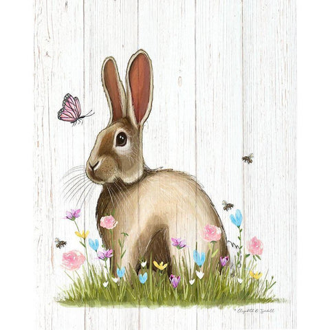 Easter Rabbit II Black Modern Wood Framed Art Print with Double Matting by Tyndall, Elizabeth