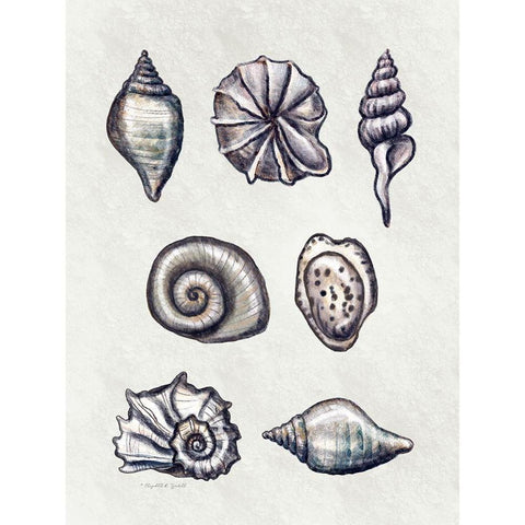 Shells I White Modern Wood Framed Art Print by Tyndall, Elizabeth