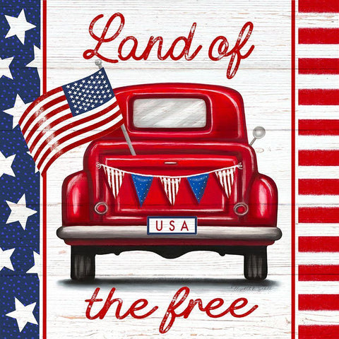 Land of the Free White Modern Wood Framed Art Print with Double Matting by Tyndall, Elizabeth