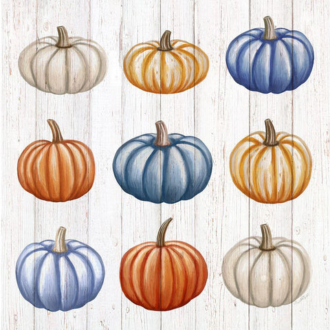 Pumpkins White Modern Wood Framed Art Print with Double Matting by Tyndall, Elizabeth