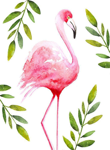 Flamingo II White Modern Wood Framed Art Print with Double Matting by Tyndall, Elizabeth