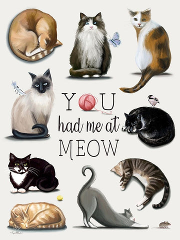 You Had Me at Meow White Modern Wood Framed Art Print with Double Matting by Tyndall, Elizabeth