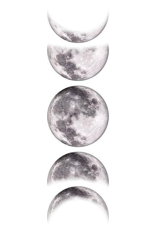 Moon Phases VI Black Ornate Wood Framed Art Print with Double Matting by JJ Design House