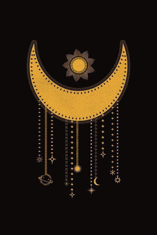 Moon Catcher Black Ornate Wood Framed Art Print with Double Matting by JJ Design House