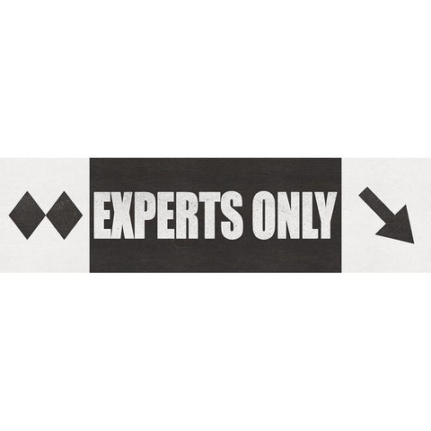 Experts Only Black Modern Wood Framed Art Print with Double Matting by JJ Design House