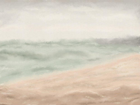 Soft Mod Ocean Black Ornate Wood Framed Art Print with Double Matting by JJ Design House