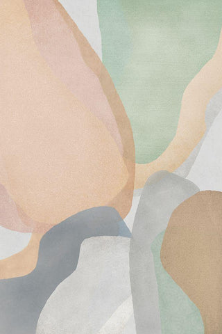 Soft Mods I Black Ornate Wood Framed Art Print with Double Matting by JJ Design House