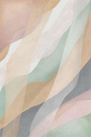 Soft Mods II Black Ornate Wood Framed Art Print with Double Matting by JJ Design House