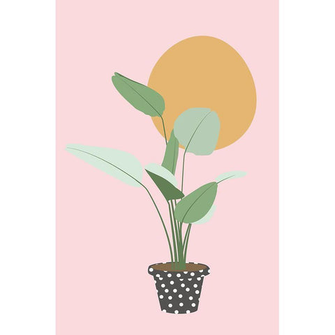 Planted Spotted Potted White Modern Wood Framed Art Print by JJ Design