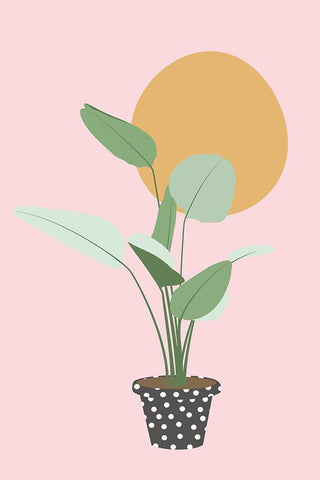 Planted Spotted Potted White Modern Wood Framed Art Print with Double Matting by JJ Design