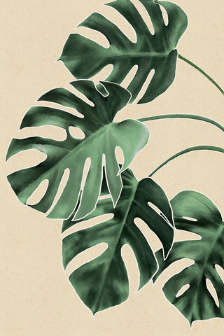 Leaves White Modern Wood Framed Art Print with Double Matting by JJ Design