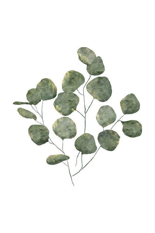 Eucalyptus Leaves Black Ornate Wood Framed Art Print with Double Matting by JJ Design