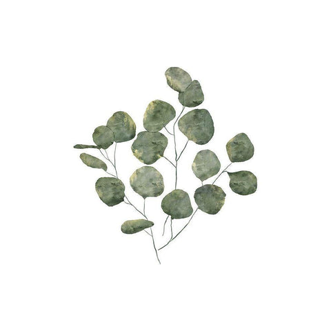 Eucalyptus Leaves Black Modern Wood Framed Art Print with Double Matting by JJ Design