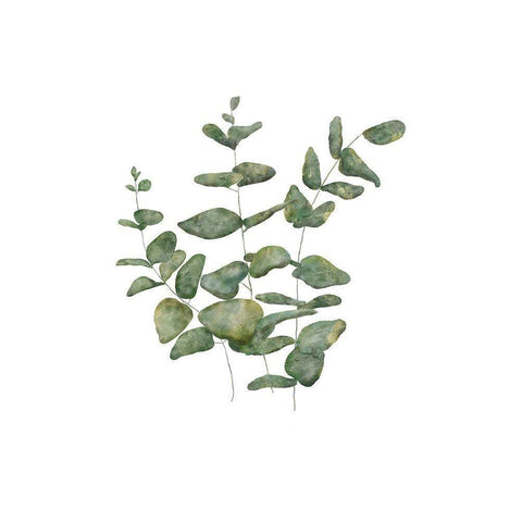 Eucalyptus Leaves II Black Modern Wood Framed Art Print with Double Matting by JJ Design