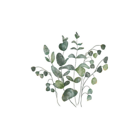 Eucalyptus Leaves III Gold Ornate Wood Framed Art Print with Double Matting by JJ Design