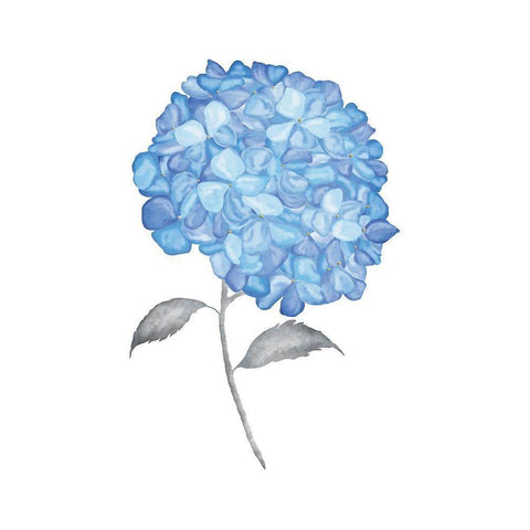 Blue Flower II Black Modern Wood Framed Art Print with Double Matting by JJ Design