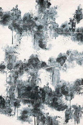 Splatter Black Ornate Wood Framed Art Print with Double Matting by JJ Design