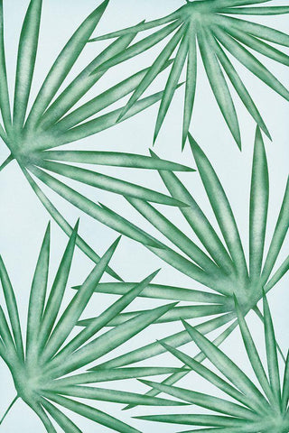 Fan Palms Black Ornate Wood Framed Art Print with Double Matting by JJ Design