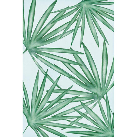 Fan Palms Black Modern Wood Framed Art Print with Double Matting by JJ Design