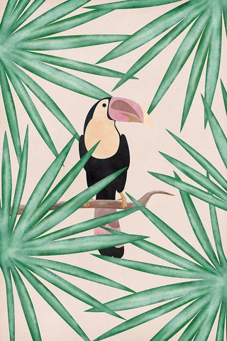 Toucan White Modern Wood Framed Art Print with Double Matting by JJ Design