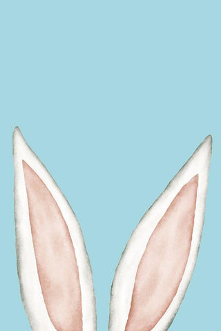 Bunny Ears White Modern Wood Framed Art Print with Double Matting by JJ Design