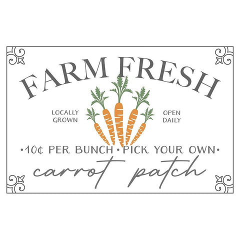 Farm Fresh Carrots Black Modern Wood Framed Art Print with Double Matting by JJ Design