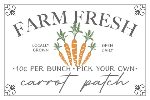 Farm Fresh Carrots White Modern Wood Framed Art Print with Double Matting by JJ Design