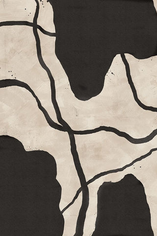 Scribbles Black Ornate Wood Framed Art Print with Double Matting by JJ Design