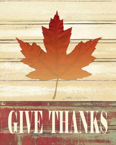 Fall Leave Give Thanks White Modern Wood Framed Art Print with Double Matting by Moulton, Jo