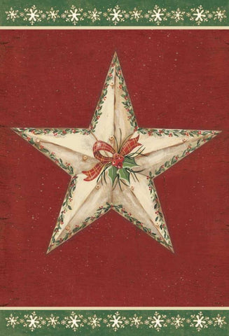 Holiday Star II White Modern Wood Framed Art Print with Double Matting by Moulton, Jo