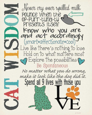 Cat Wisdom White Modern Wood Framed Art Print with Double Matting by Moulton, Jo