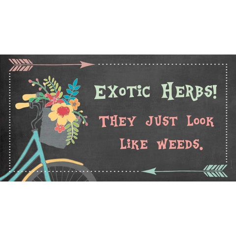 Exotic Herbs - Bike Black Modern Wood Framed Art Print by Moulton, Jo