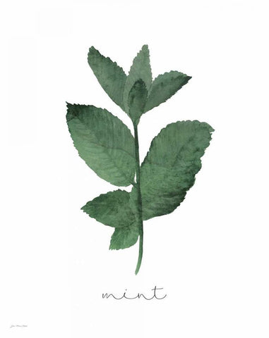 Mint White Modern Wood Framed Art Print with Double Matting by Moulton, Jo