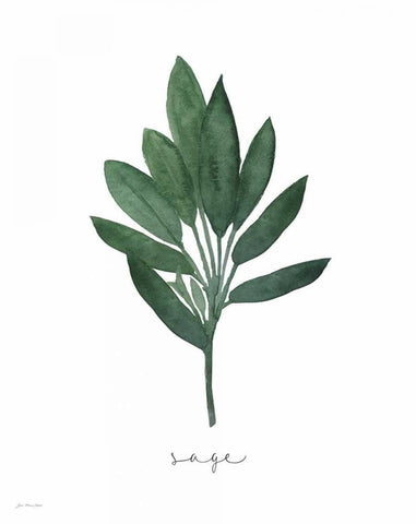 Sage Black Ornate Wood Framed Art Print with Double Matting by Moulton, Jo