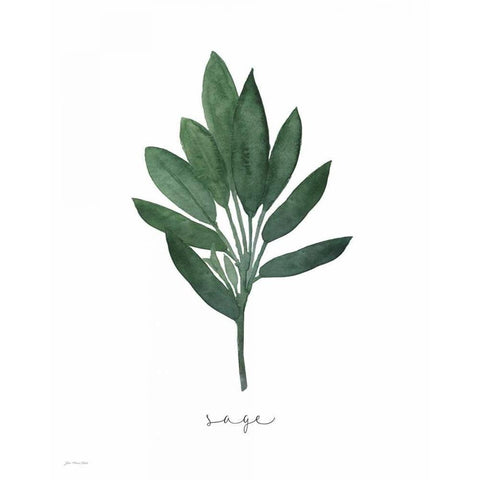 Sage Black Modern Wood Framed Art Print by Moulton, Jo