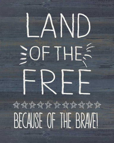 Land of the Free and Brave White Modern Wood Framed Art Print with Double Matting by Moulton, Jo