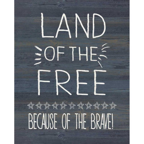 Land of the Free and Brave Black Modern Wood Framed Art Print with Double Matting by Moulton, Jo