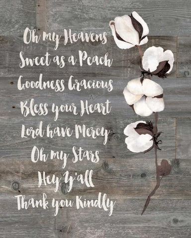 Southern Sayings White Modern Wood Framed Art Print with Double Matting by Moulton, Jo