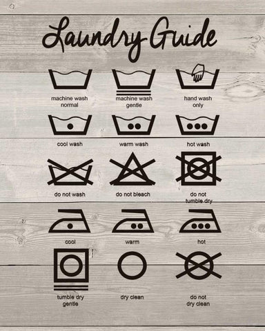 Laundry Guide Black Ornate Wood Framed Art Print with Double Matting by Moulton, Jo