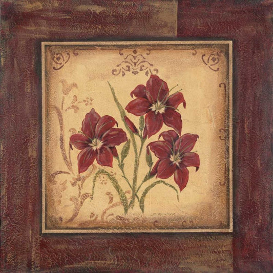 Image Only