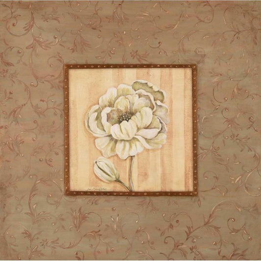 Image Only