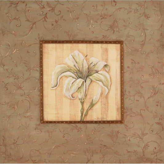 Image Only