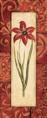 Vintage Crimson I White Modern Wood Framed Art Print with Double Matting by Moulton, Jo